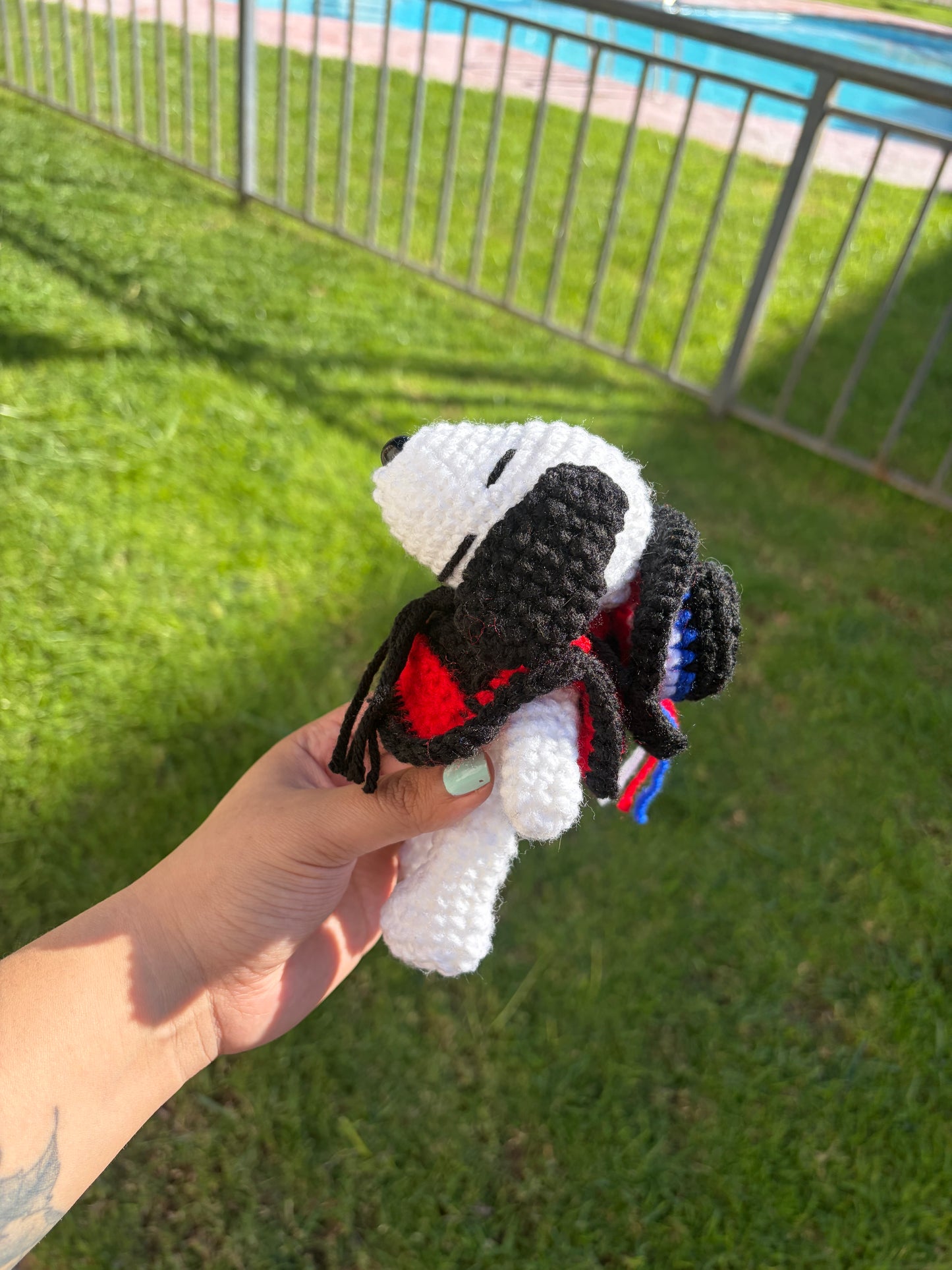 Snoopy huasito