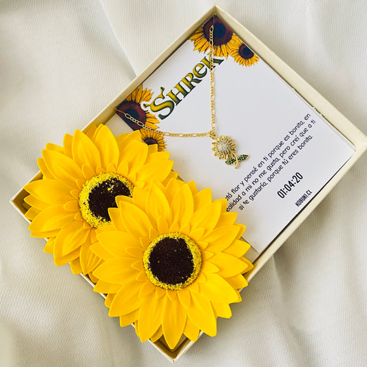 Box girasol 🌻 ✨