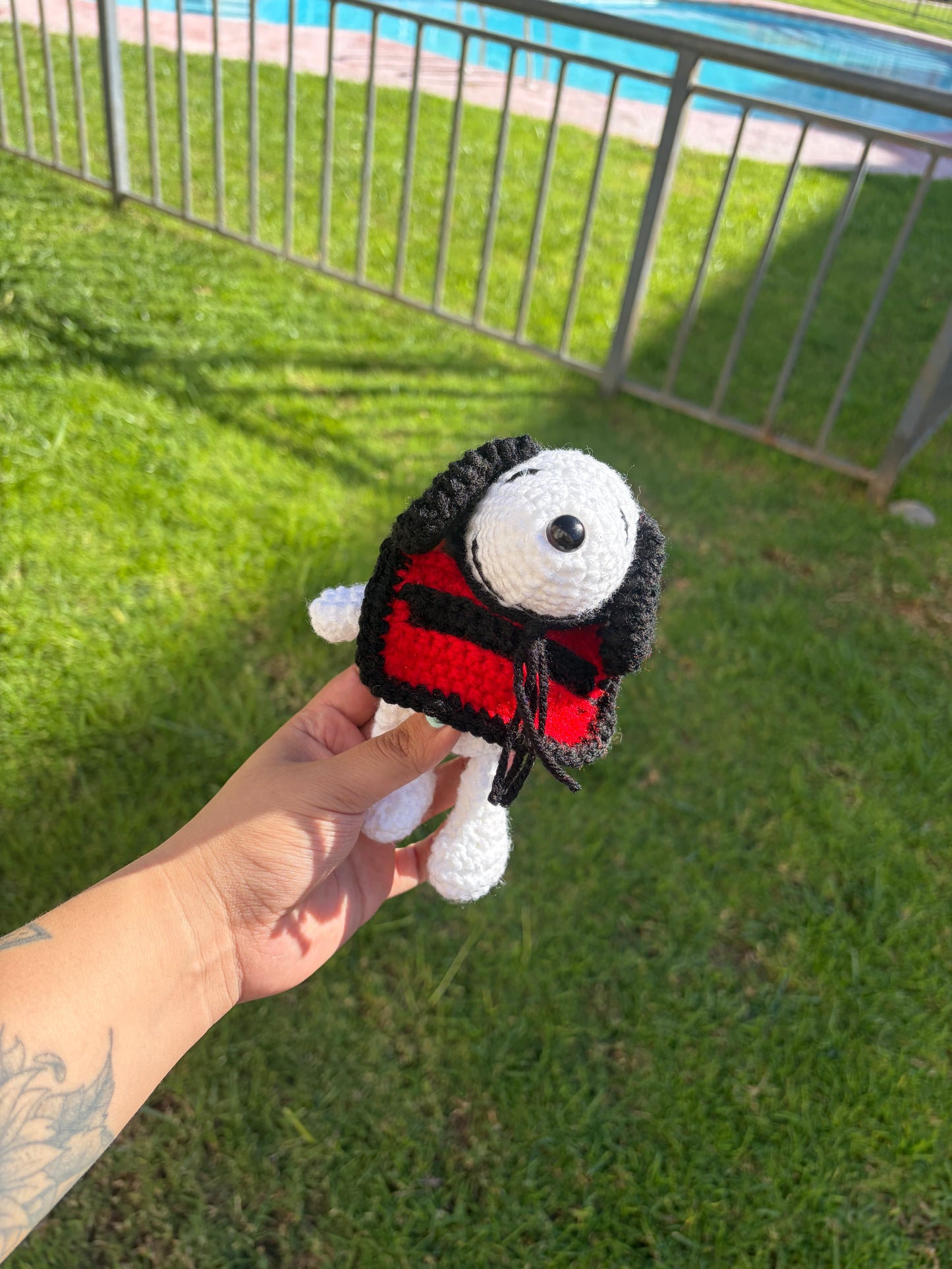 Snoopy huasito