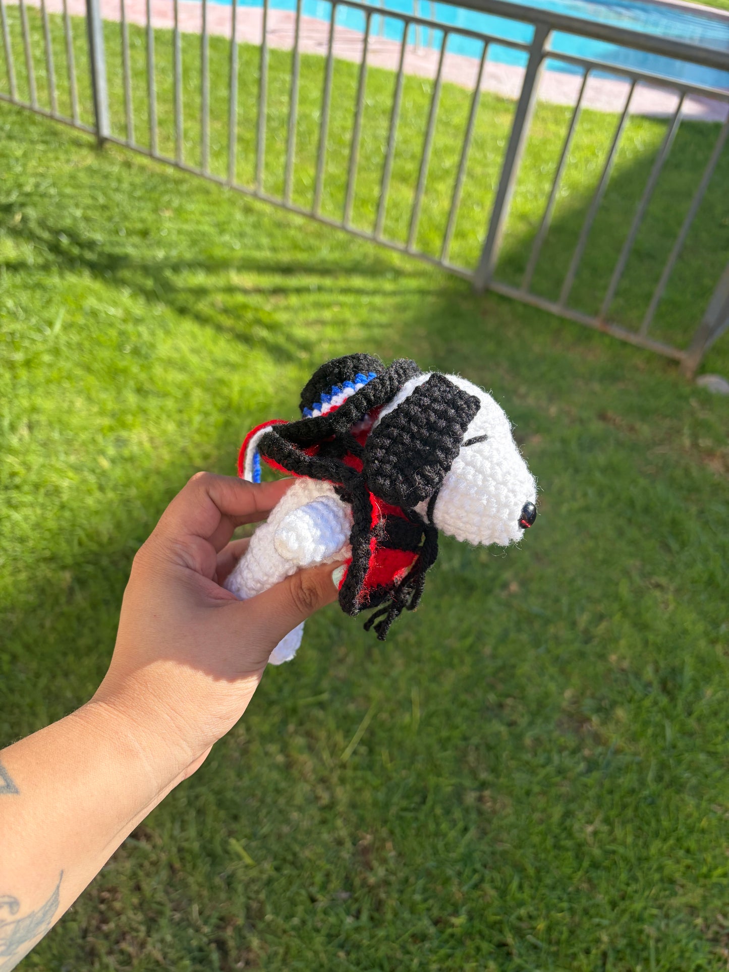 Snoopy huasito